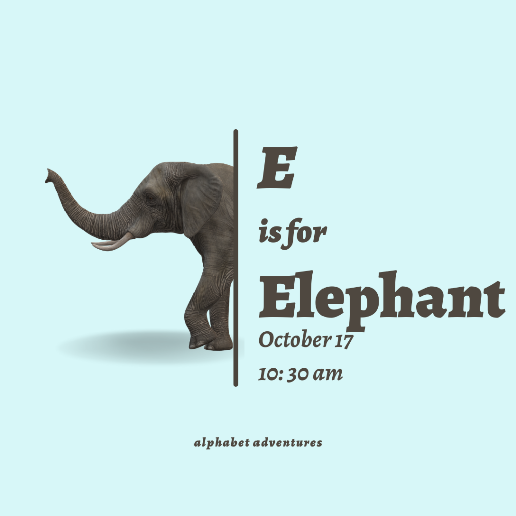 a grey elephant poking out from behind a gray line on a light blue background. text says "E is for Elephant. October 17, 10:30am, alphabet adventures"